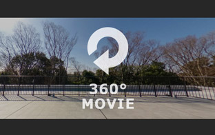 360° Panorama Movie Link