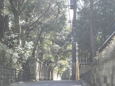Neighborhood