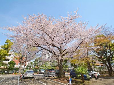  Parking Lot
