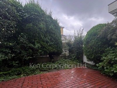 Courtyard/Greenery