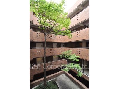 Courtyard/Greenery