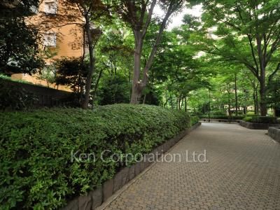  Courtyard/Greenery