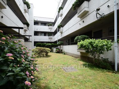 Courtyard/Greenery