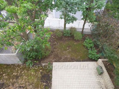 Yard/Garden