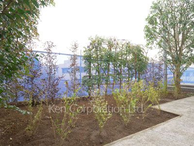  Courtyard/Greenery