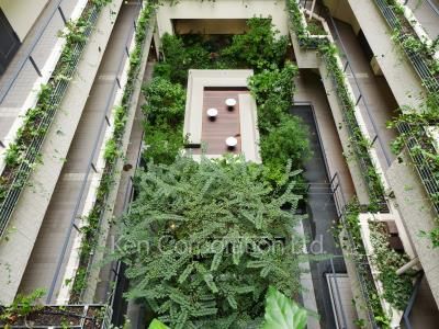  Courtyard/Greenery