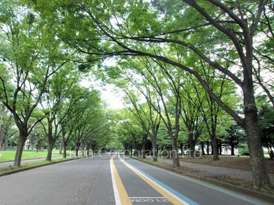 Neighborhood