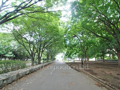 Neighborhood