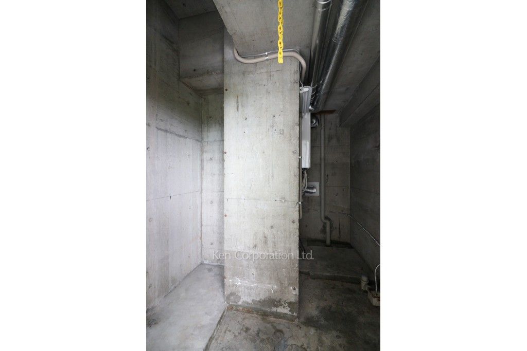 DPS Pagoda Tour 112 RP tecton13 ジャンク扱い Dps Pagoda | eBay