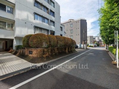 Road on the facade