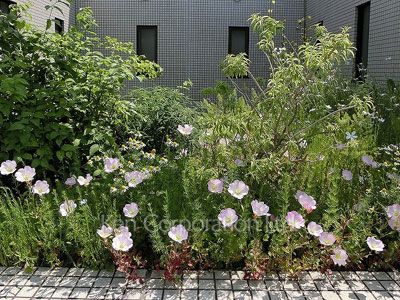  Courtyard/Greenery