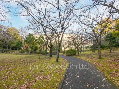  Courtyard/Greenery