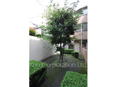  Courtyard/Greenery
