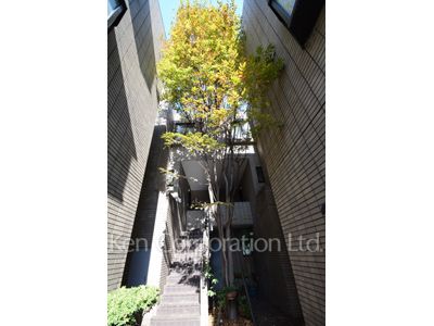  Courtyard/Greenery