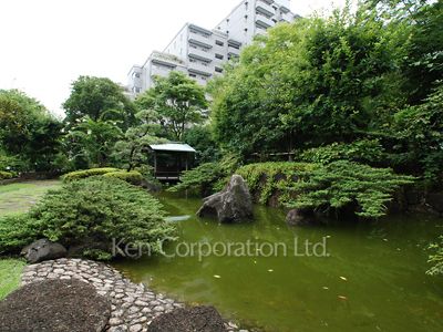  Courtyard/Greenery