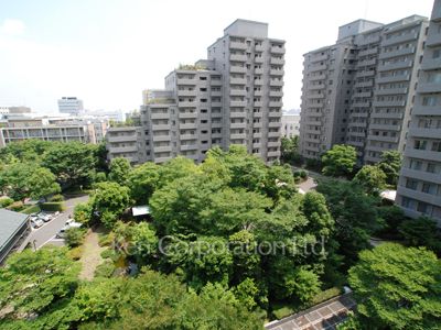  Courtyard/Greenery