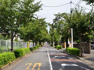 Road on the facade