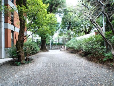 Courtyard/Greenery