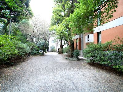 Courtyard/Greenery