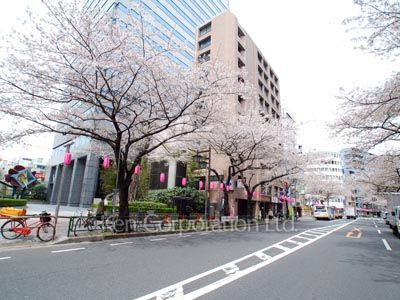 Road on the facade