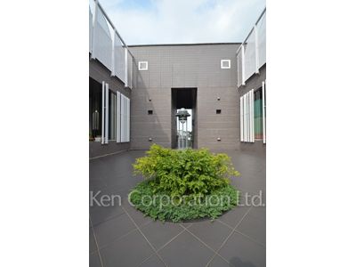 Courtyard/Greenery