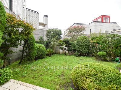 Yard/Garden