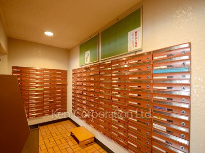 Mail/Delivery box