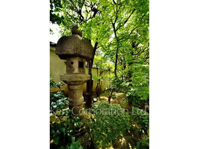 Courtyard/Greenery