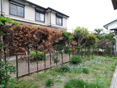 Yard/Garden
