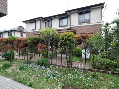Yard/Garden