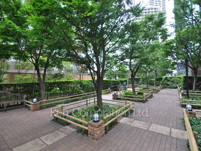 Courtyard/Greenery