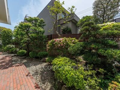  Courtyard/Greenery