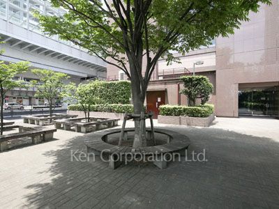 Courtyard/Greenery