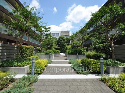 Courtyard/Greenery