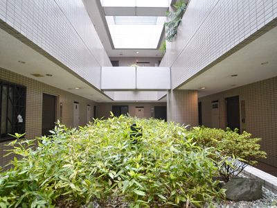 Courtyard/Greenery