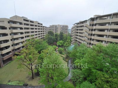 Courtyard/Greenery