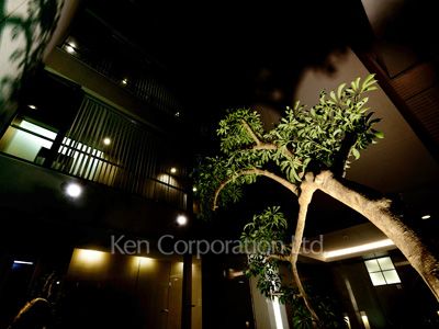 Courtyard/Greenery