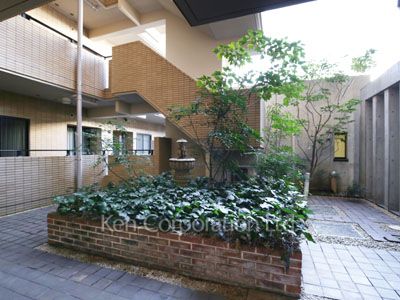 Courtyard/Greenery