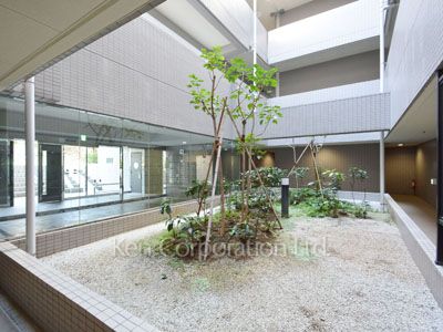 Courtyard/Greenery