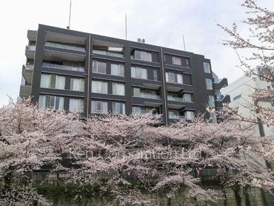  Exterior from afar