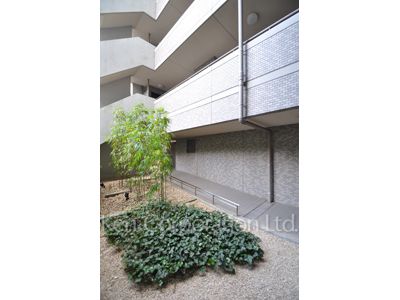 Courtyard/Greenery