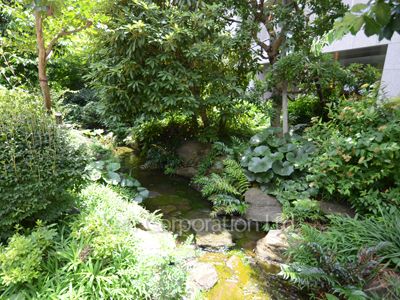  Courtyard/Greenery