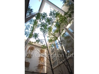  Courtyard/Greenery