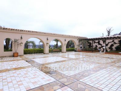 Courtyard/Greenery