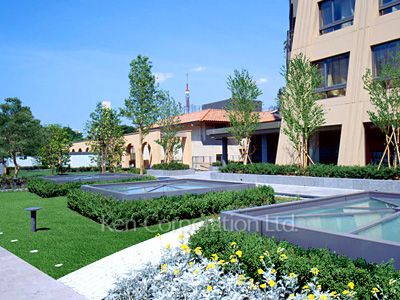 Courtyard/Greenery