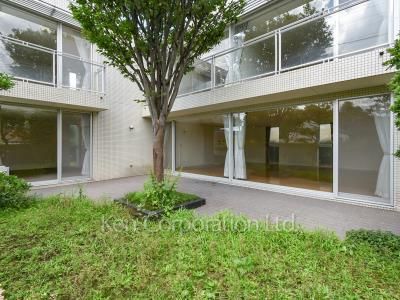 Yard/Garden