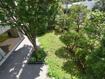 Yard/Garden