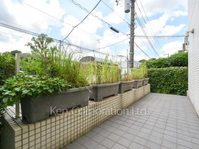 Yard/Garden