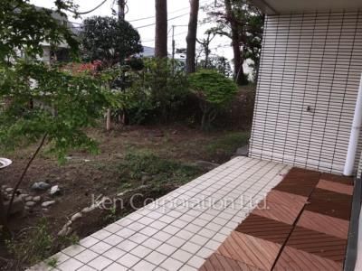 Courtyard/Greenery