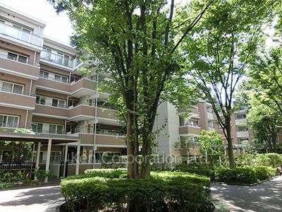 Courtyard/Greenery